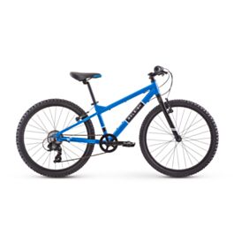 raleigh 24 inch mountain bike