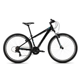 raleigh talus 29